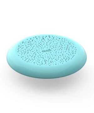 QUUT frisbee 1
