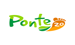 Ponte 20 1