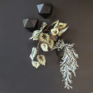 magnetinis sieninis vazonas juodas augalams piestukams kanceliarinems prekems 1 1