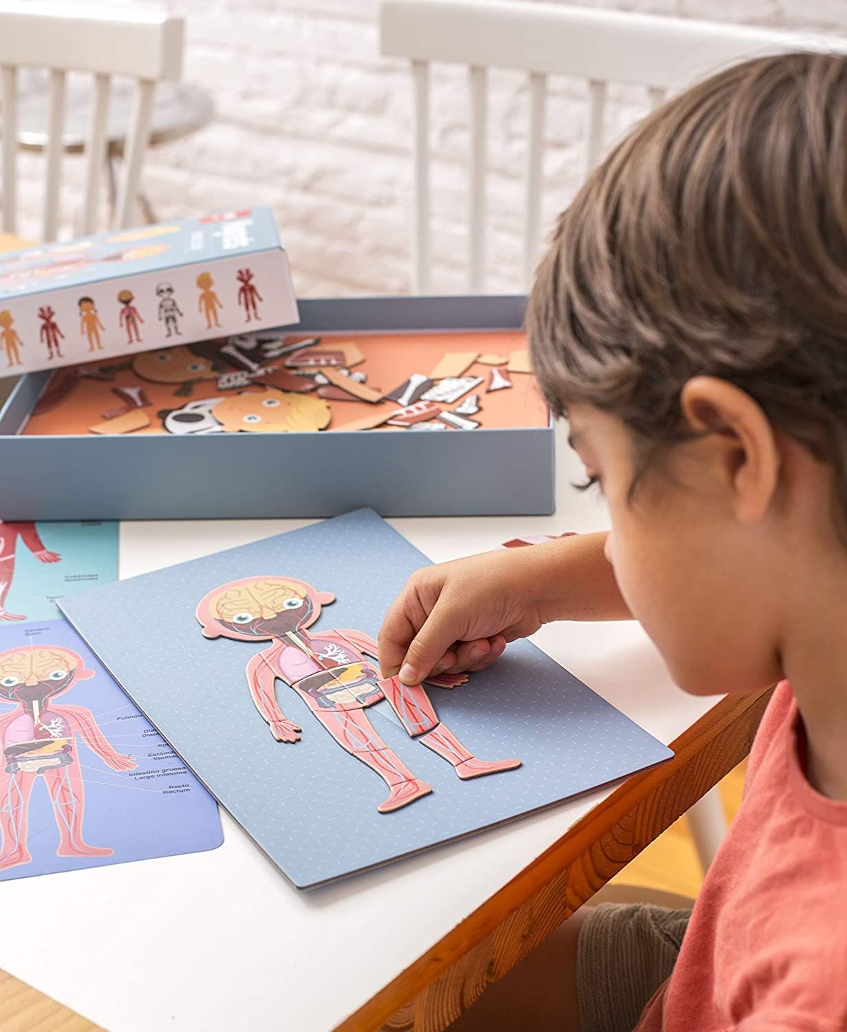 Magnetinis žaidimas „Žmogaus kūnas” - Apli Kids 2 Magnetinis žaidimas „Žmogaus kūnas” - Apli Kids - Image 2