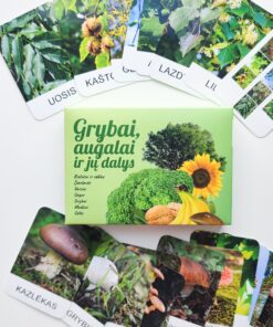 Lavinamųjų kortelių rinkinys "Grybai, augalai ir jų dalys"