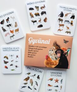 Lavinamųjų kortelių rinkinys "Gyvūnai"