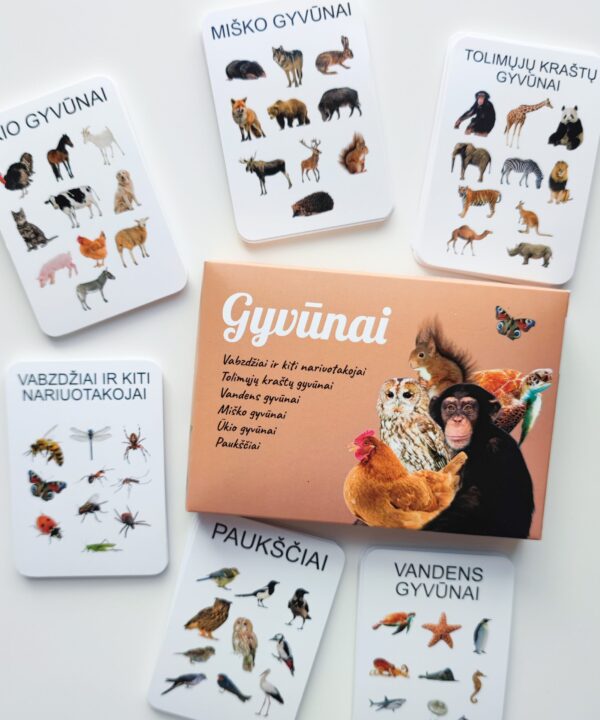 Lavinamųjų kortelių rinkinys "Gyvūnai"