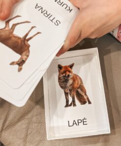 Lavinamųjų kortelių rinkinys „Miško gyvūnai“