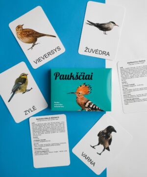 lavinamuju korteliu rinkinys pauksciai 4 1
