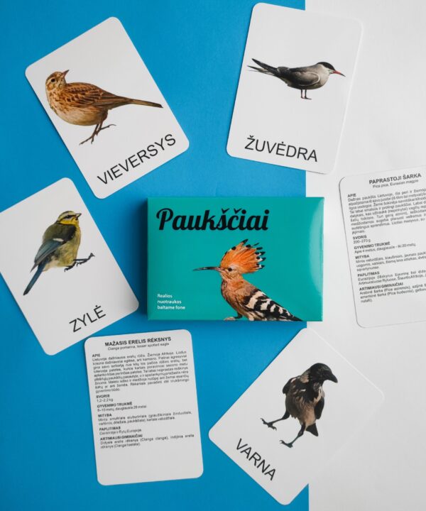 Lavinamųjų kortelių rinkinys „Paukščiai“