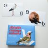 lavinamuju korteliu rinkinys sudek raides 2
