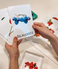 Lavinamųjų kortelių rinkinys „Uogos“