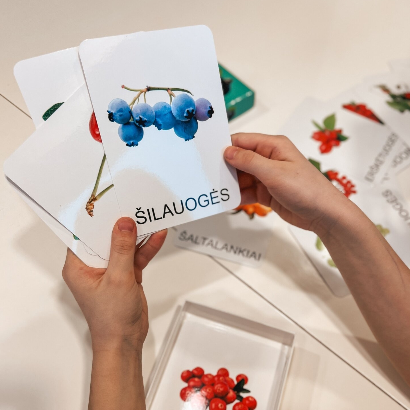 Lavinamųjų kortelių rinkinys „Uogos“ 3 Lavinamųjų kortelių rinkinys „Uogos“