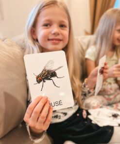 Lavinamųjų kortelių rinkinys „Vabzdžiai ir kiti nariuotakojai“