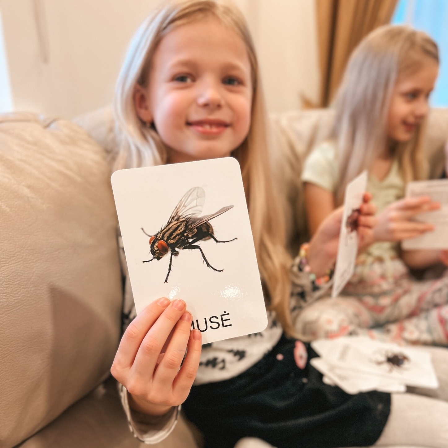 Lavinamųjų kortelių rinkinys „Vabzdžiai ir kiti nariuotakojai“ 3 Lavinamųjų kortelių rinkinys „Vabzdžiai ir kiti nariuotakojai“