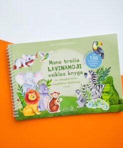 Mano trečia lavinamoji veiklos knyga su daugkartinio naudojimo lipdukais