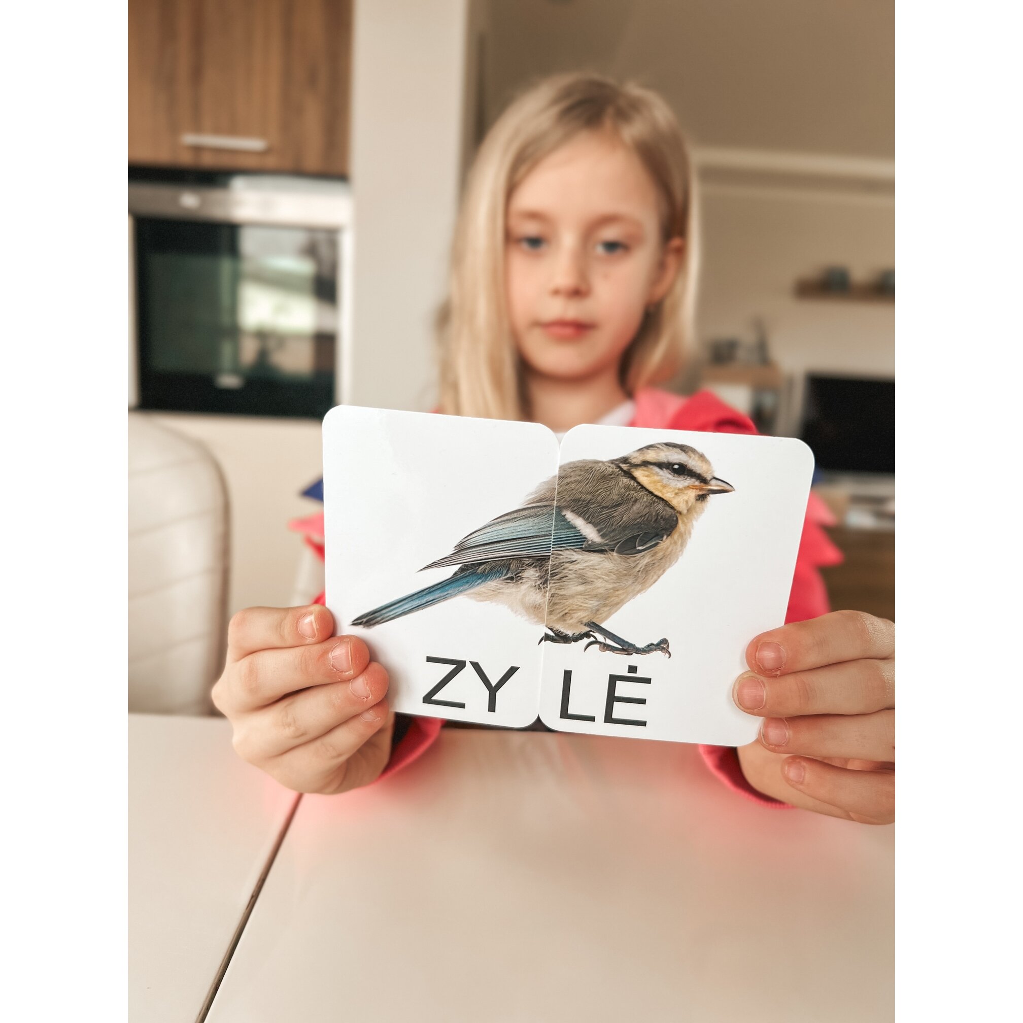 Skaitymo kortelės „Sudėk žodį. Dviskiemeniai žodžiai“ 4 Skaitymo kortelės „Sudėk žodį. Dviskiemeniai žodžiai“ - Image 2