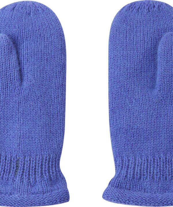 Gloves REIMA Lapanen 5300318A Breezy Violet