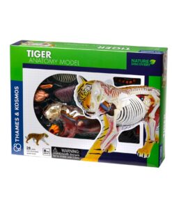 edukaciniai zaislai. Lavinamieji zaislai. KOSMOS . TIGRO ANATOMIJOS MODELIS
