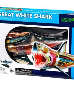 edukaciniai zaislai. Lavinamieji zaislai. KOSMOS . DIDŽIOJO BALTOJO RYKLIO ANATOMIJOS MODELIS