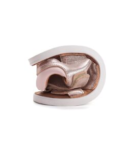 batukai vaikams D.D.Step (Vengrija)  Barefoot basutės 32-37 d. G076-61262BL