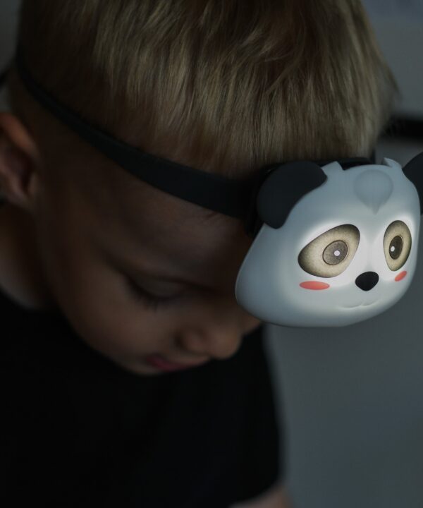 Alternative view of Galvos žibintuvėlis–prožektorius „Panda“