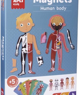 Apli Kids magnetinis žaidimas-dėlionė Žmogaus kūnas - Apli Kids 2 edukaciniai zaislai. Lavinamieji zaislai. Apli Kids . Apli Kids magnetinis žaidimas-dėlionė Žmogaus kūnas